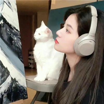 梦乡